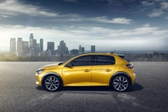 7797041884_la-nouvelle-peugeot-208