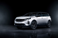 peugeot_5008_2009styp_019b