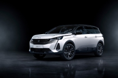 peugeot_5008_2009styp_019b
