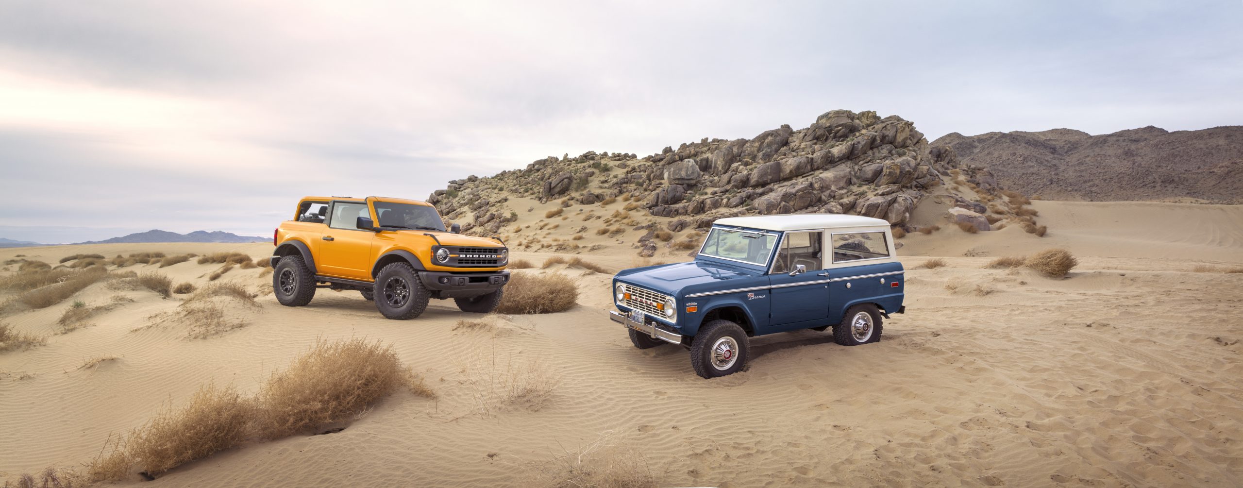 Bronco_Vintage_01-scaled