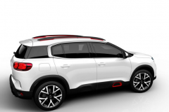 captur11