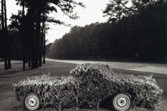 UZZLE_SHRUB+CAR_2000