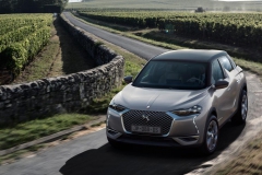 ds3e-tense1